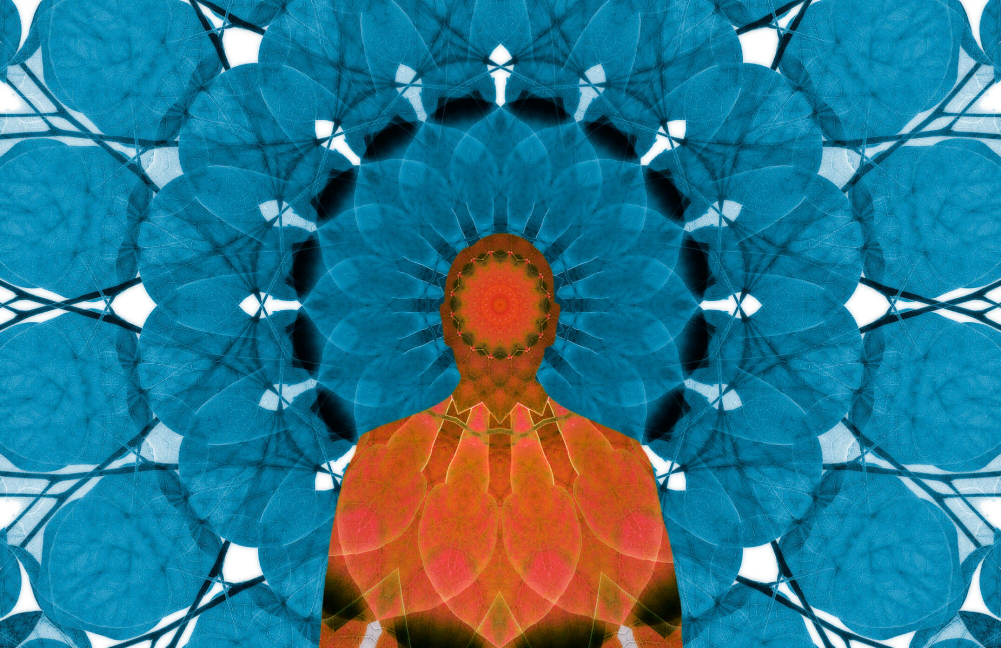 Blog | AnimaSalus.it