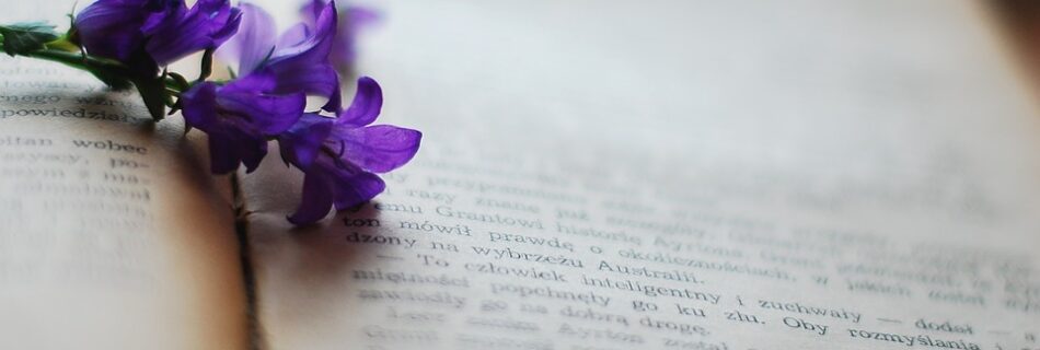Blog | AnimaSalus.it