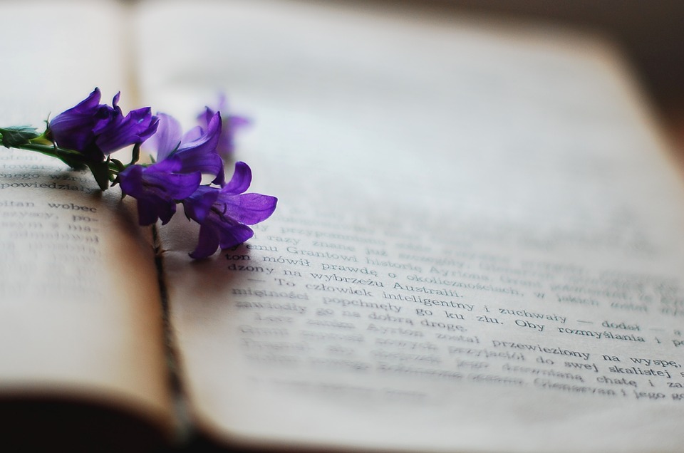 Blog | AnimaSalus.it
